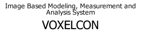 VOXELCON