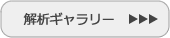 解析ギャラリーへ