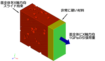 検証解析条件